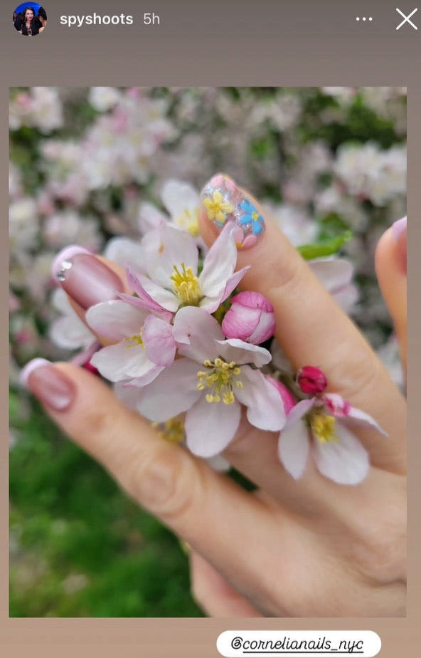 Tiny Garden Dreams