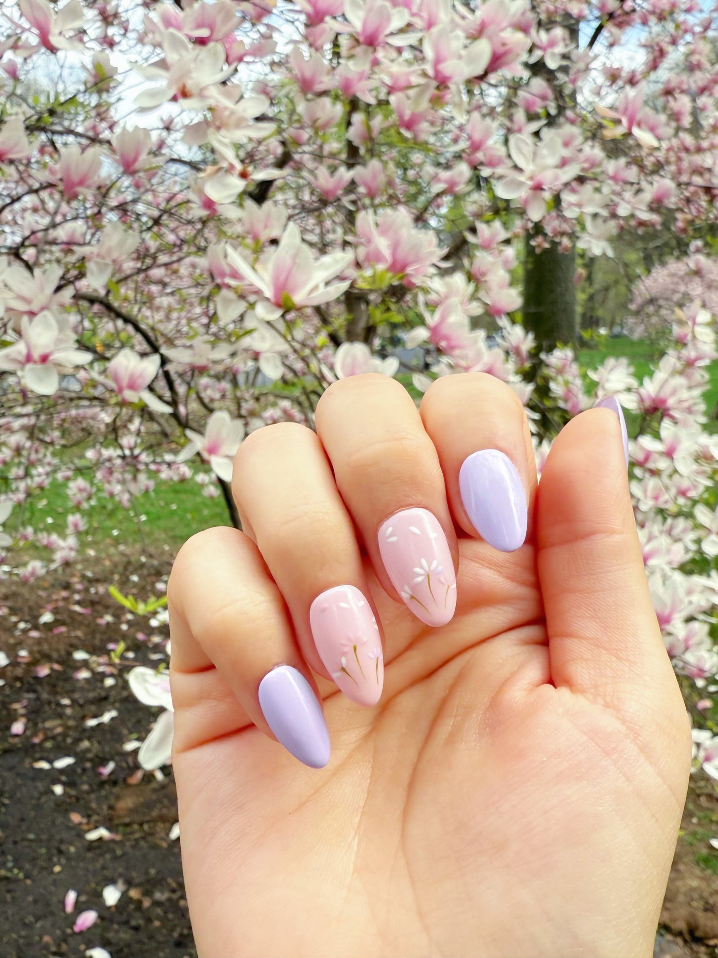 Lavender Dreams