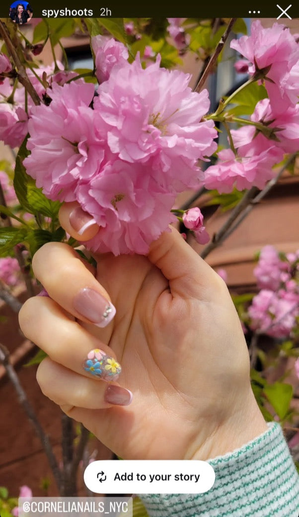 Tiny Garden Dreams