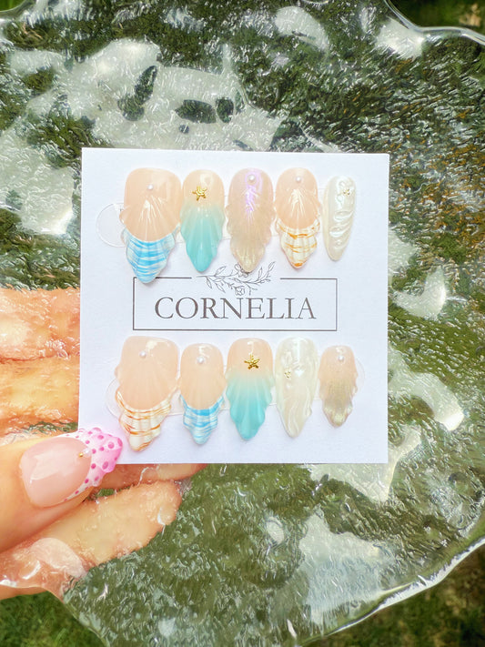 Moonlit Shells