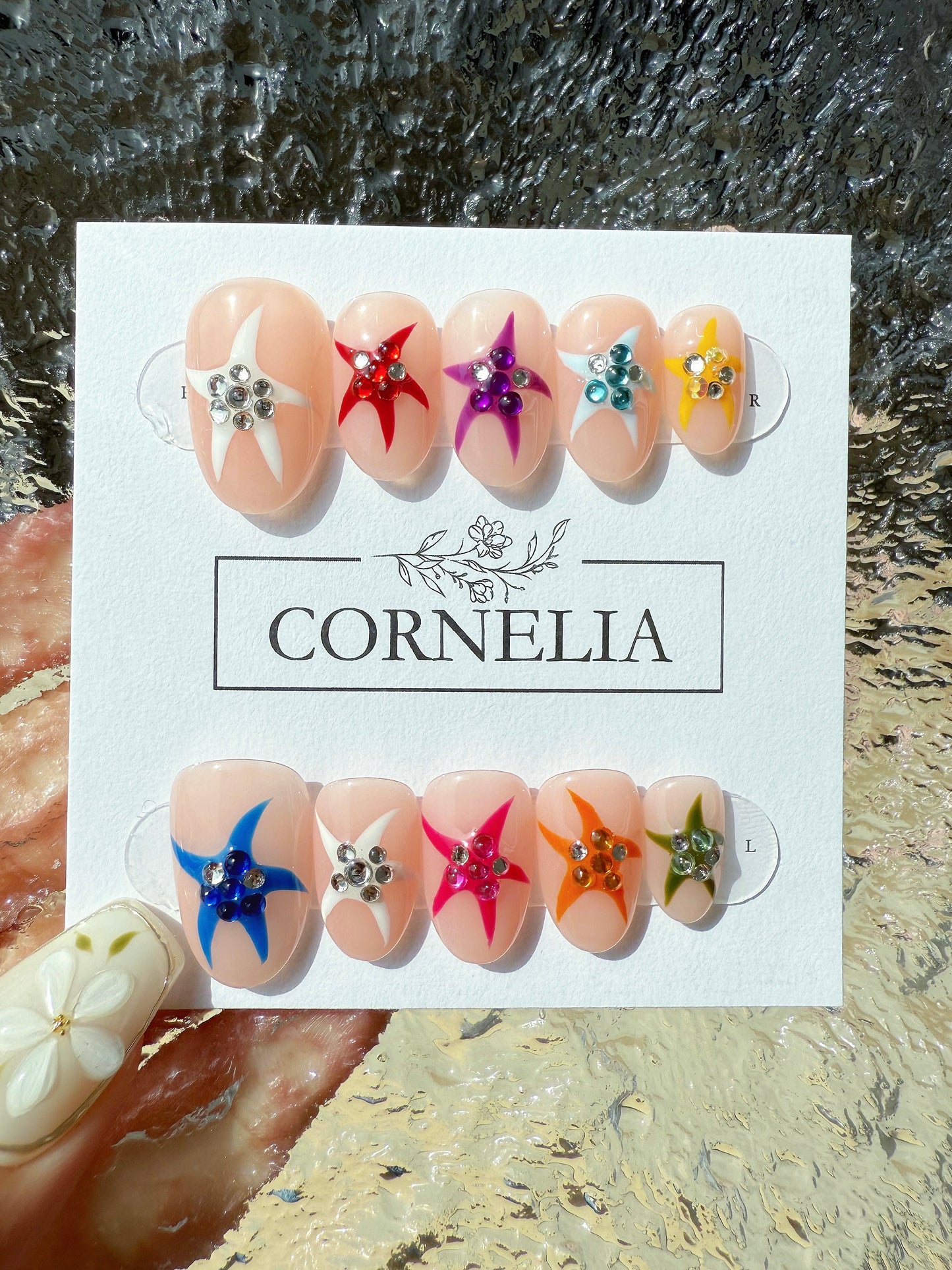 Sea Stars