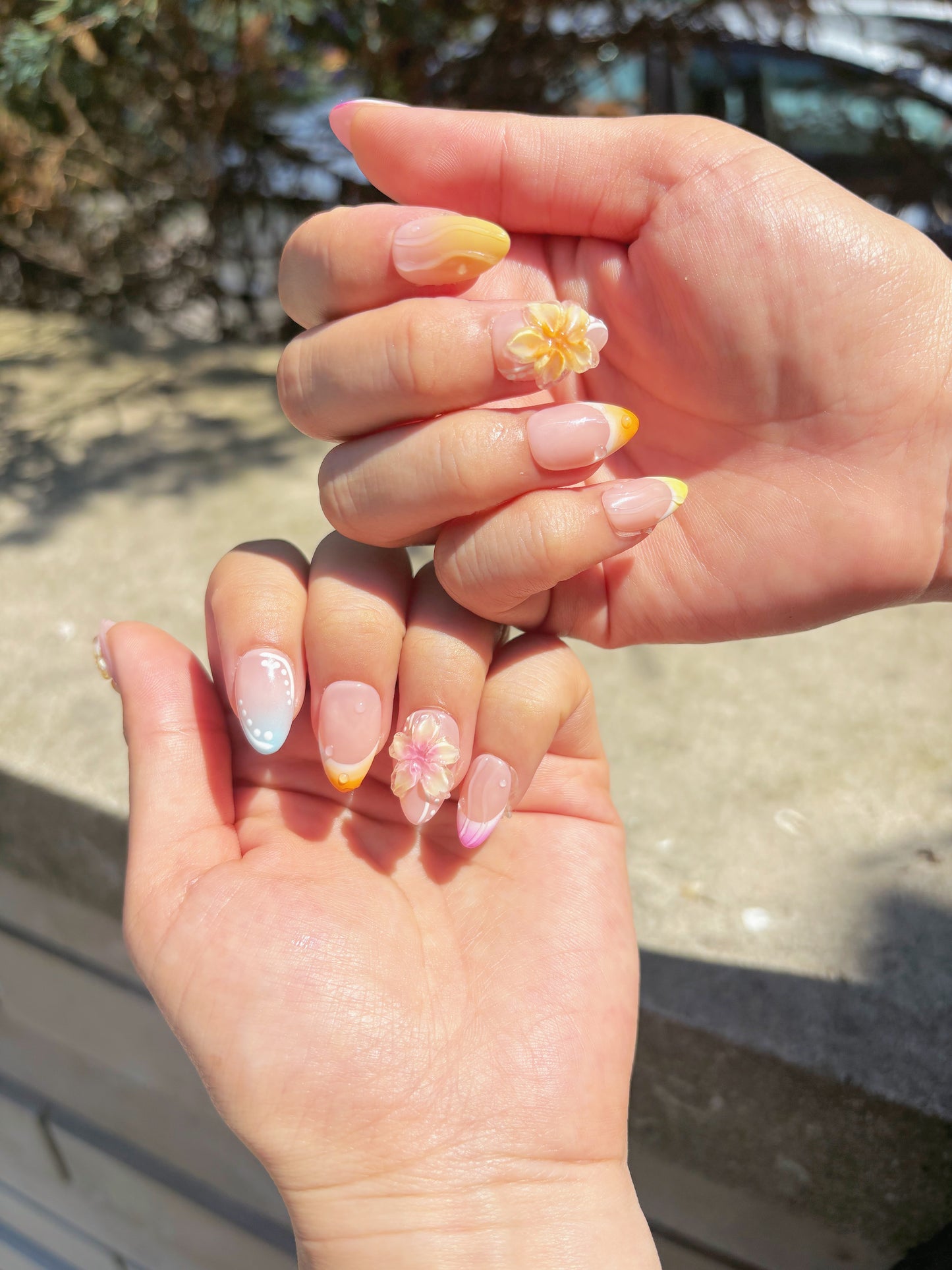 Blossom Shore