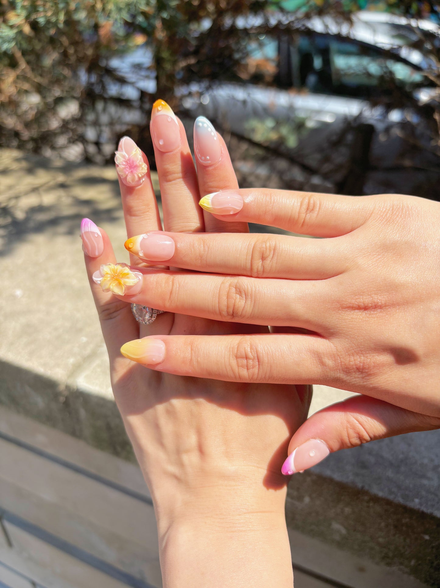 Blossom Shore
